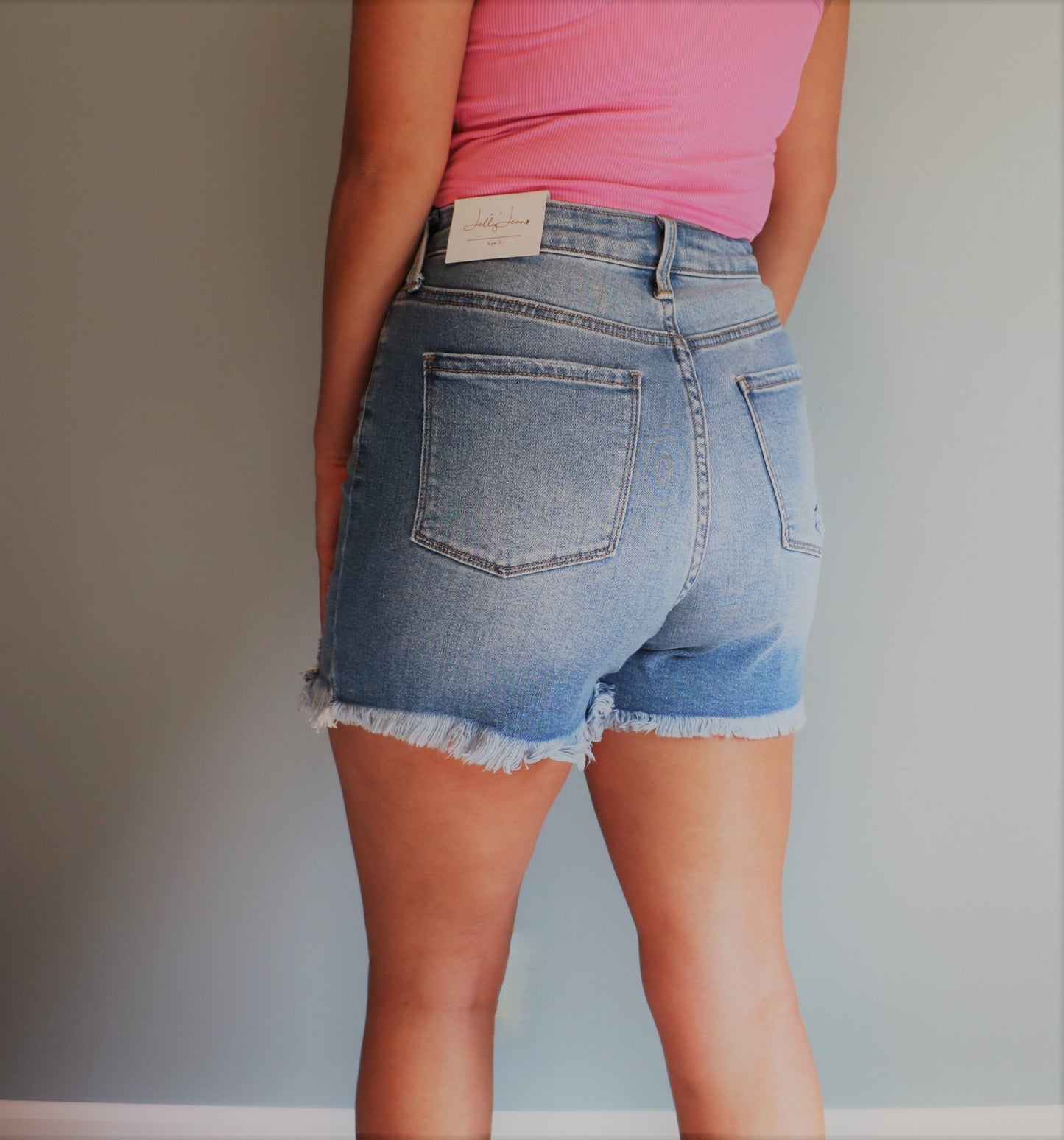 High Rise Frayed Shorts